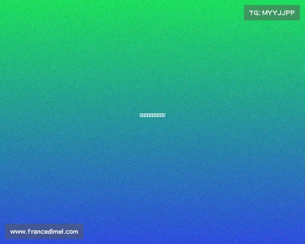 将来猛龙队赛事有哪些