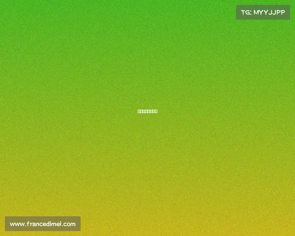 冲浪赛事都有哪些