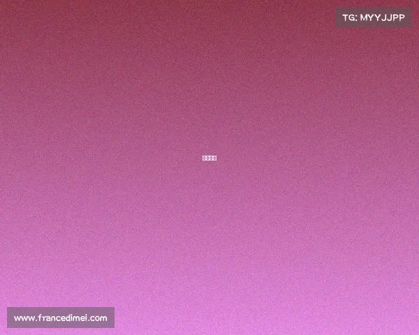 赛事执照 赛事执照